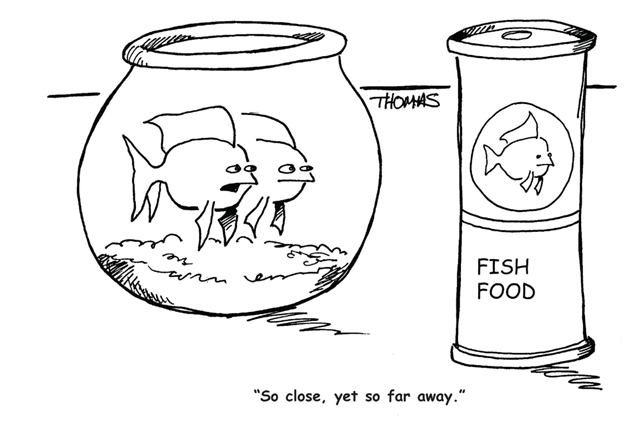 TFHmagazine's tweet photo. It's just out of fin's reach…
#TropicalFishHobbyist #cartoon #fishhumor #fishfood https://t.co/7tVmCjSVAd