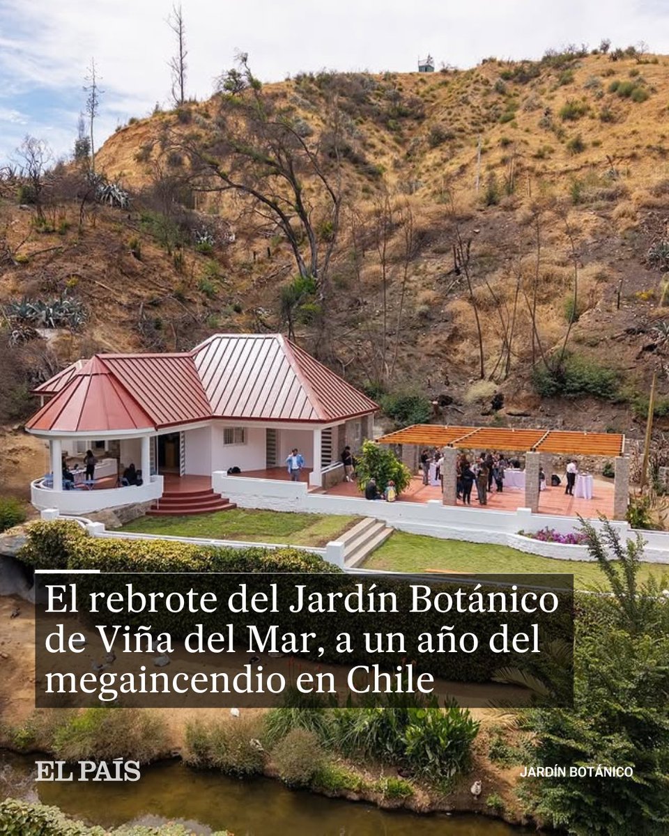 🌳El 2 febrero de 2024, a causa de las llamas, murieron cuatro personas dentro del parque y, de las 400 hectáreas del lugar, se quemaron 360 en 45 minutos. Hoy, un 80% de las plantas afectadas ha vuelto a echar raíces

🖋️ <a href="/IAgouborde/">María Victoria Agouborde Kuncar</a>
🔗 tinyurl.com/bddpm5u8
