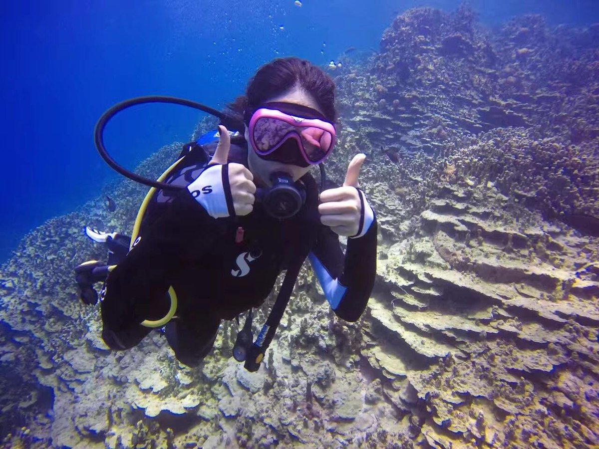 Msrty0929's tweet photo. Enjoy the joy of diving and let your mind relax 🐠🌊 https://t.co/a8QBKnJA5V
