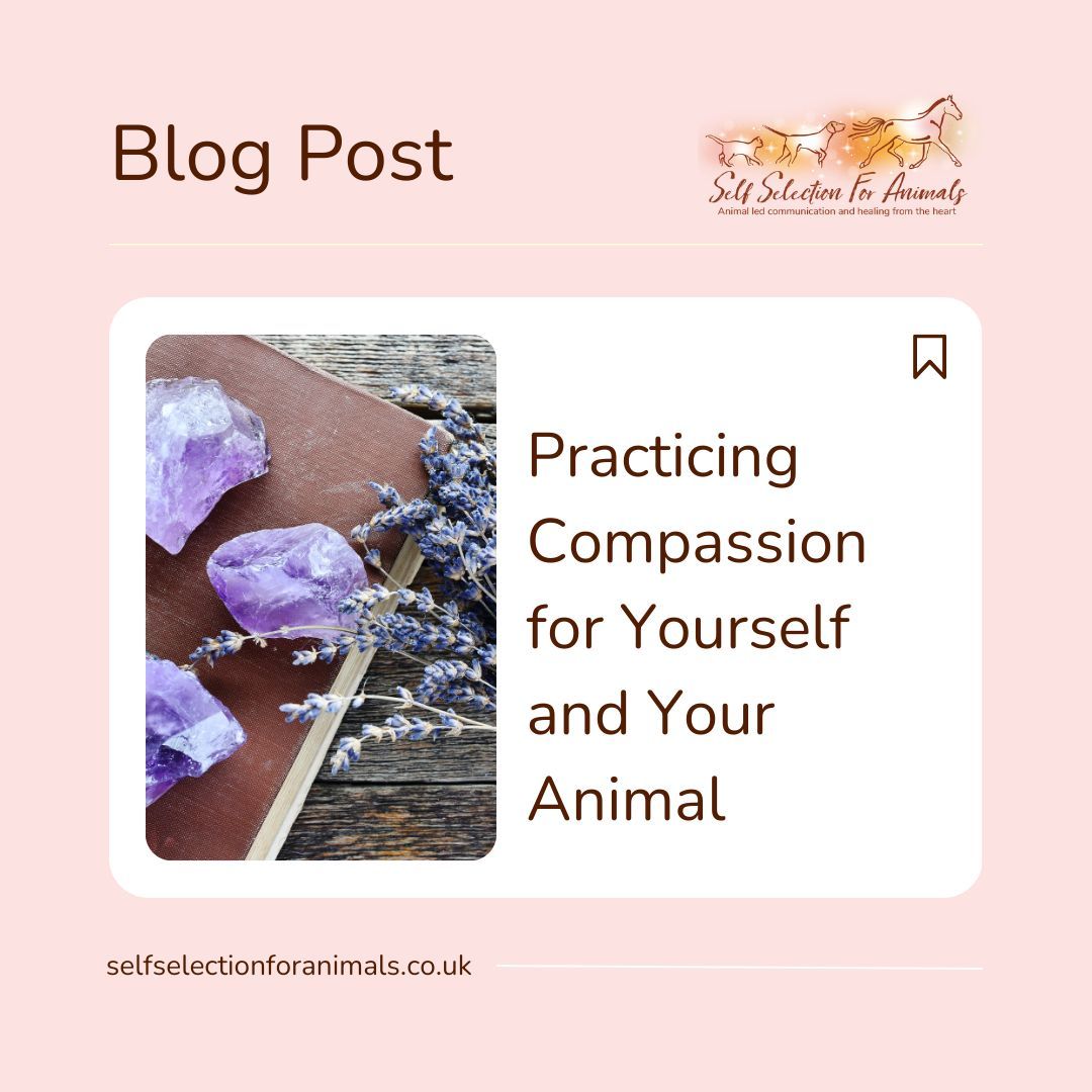 SelfSelection's tweet photo. At the start of the new year, I love meditating to discover the "theme" for the year ahead. This year, with my favourite crystals &amp; oracle cards, I connected with Archangels &amp; Ascended Masters. The message was loud and clear: 2025 is the year of compassion https://t.co/Q0aD99fErS https://t.co/gHFplL5vmJ