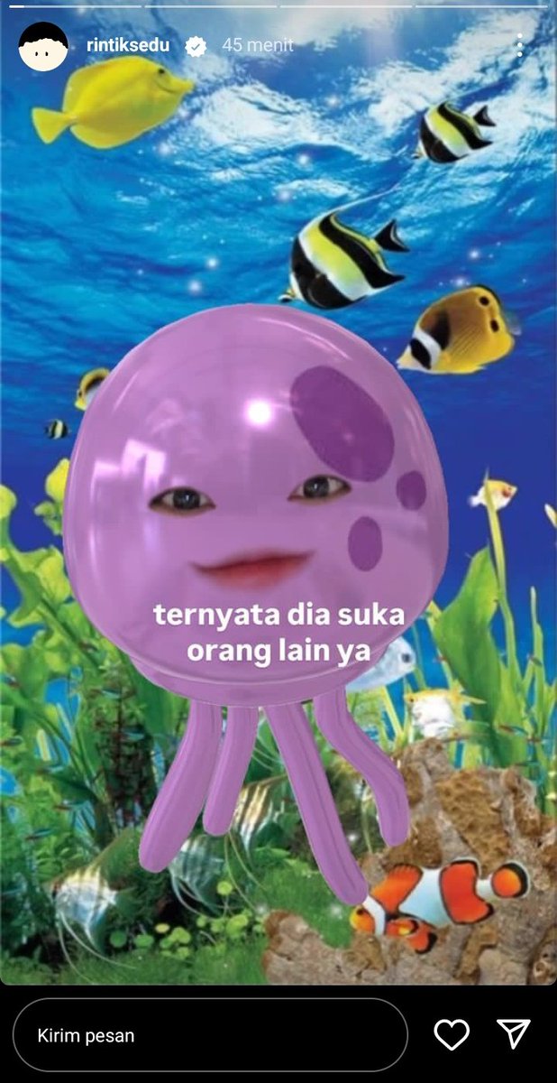 paus yang bilang bukan aku🙋