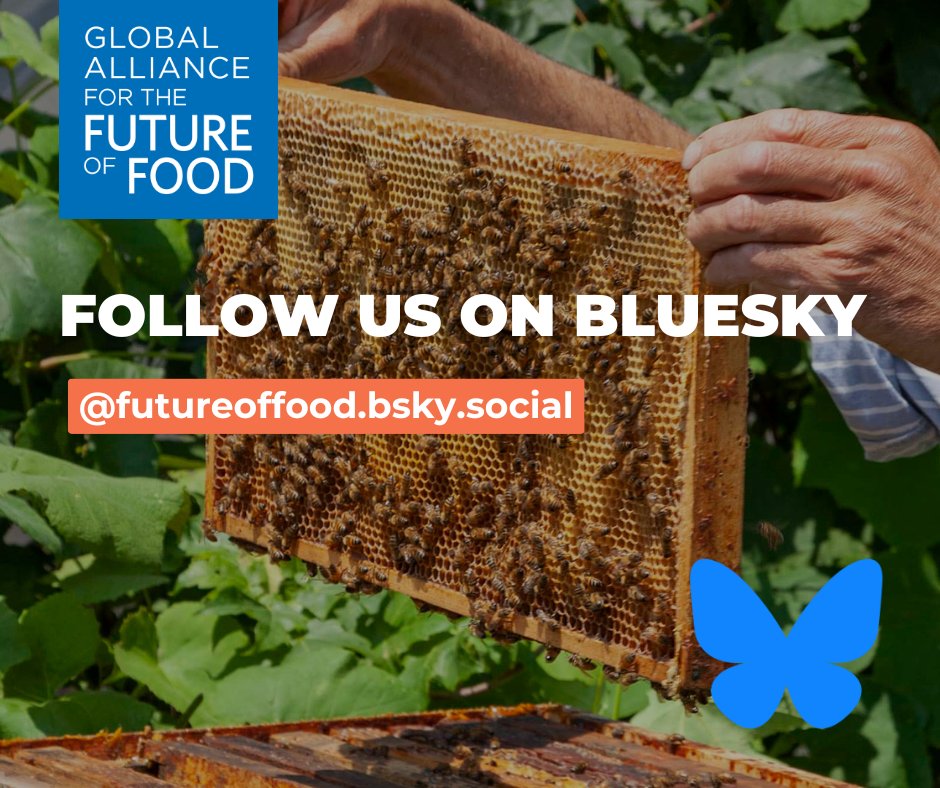 📣 Big news: We are now on #Bluesky! 🌟

We’re here to amplify discussions on equitable, sustainable, and resilient #FoodSystems.

Follow us and join the conversation: bsky.app/profile/future…