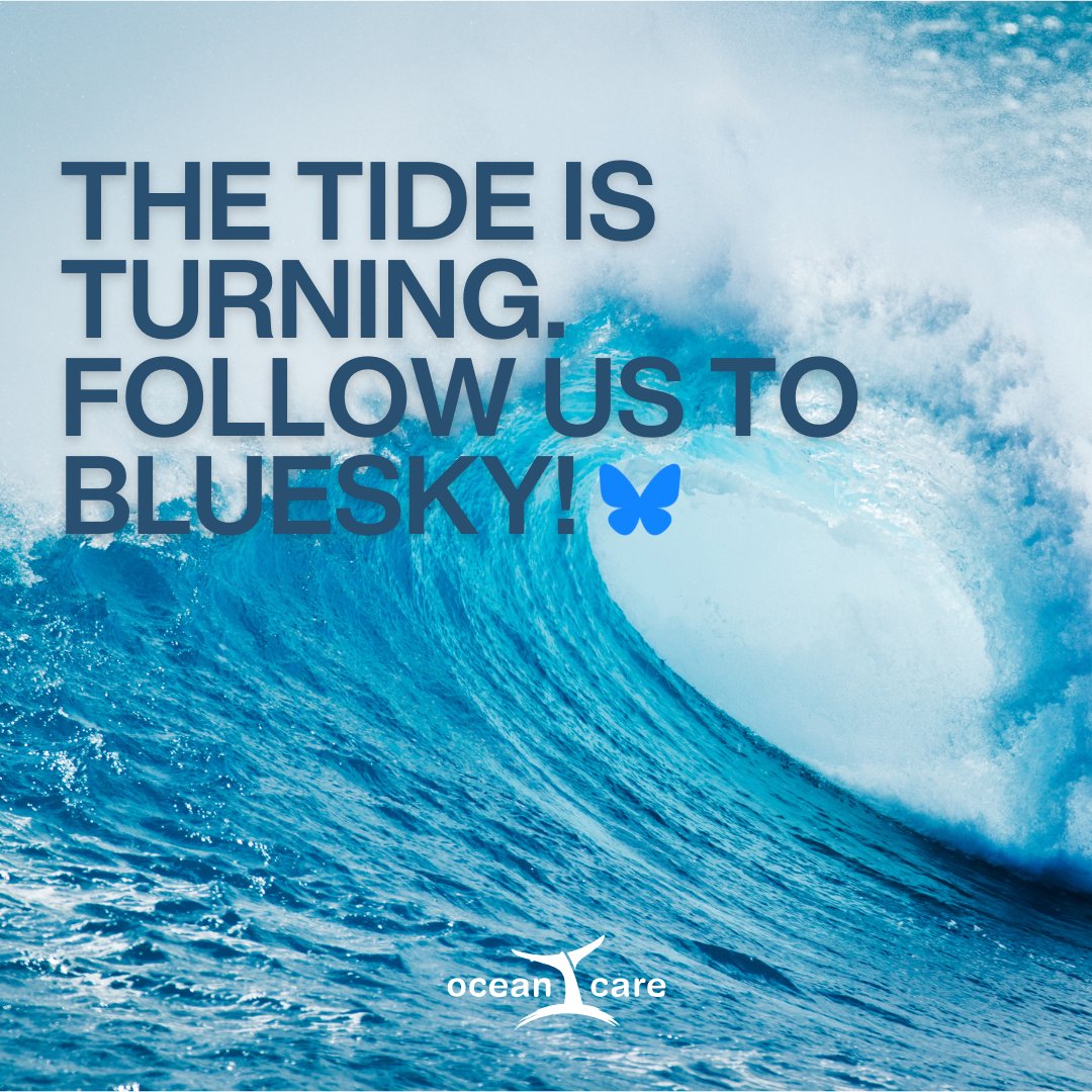 We’re moving! 🌊OceanCare is now on Bluesky. 🦋Follow us there for the latest updates and ocean conservation news: bsky.app/profile/oceanc… #Bluesky #eXit
