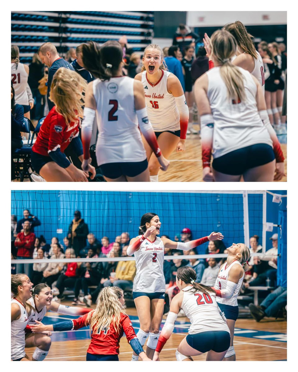 Matthew Bollier tweet media