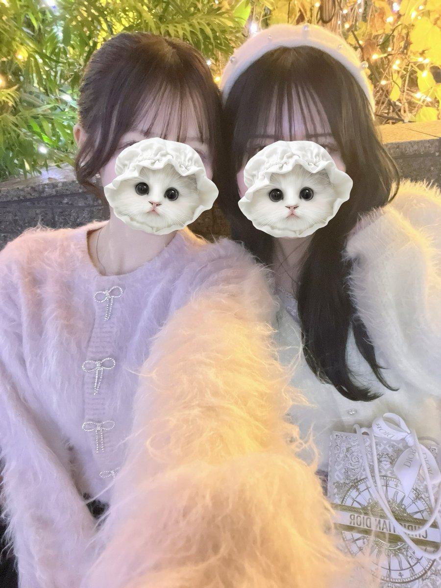 nyanshima_nyan's tweet photo. Beautyplusにいるこの子達、可愛すぎてつい使っちゃう🐶ᩚ笑 https://t.co/hgLzZQo7OD