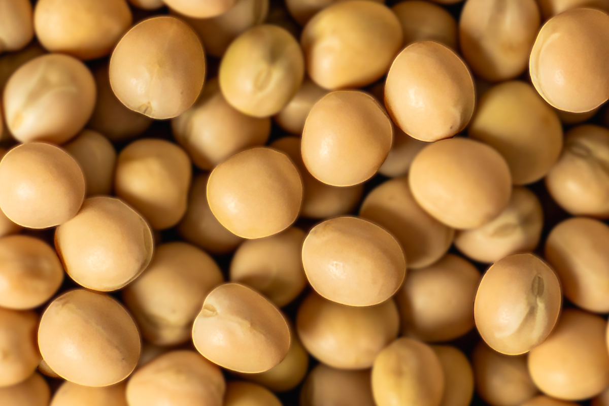Feast your eyes on your vision's favorite legumes!  The golden hue of yellow peas comes from carotenoids, which can help protect the eyes from damage caused by light and reduce the risk of age-related issues. Learn more at zenb.com