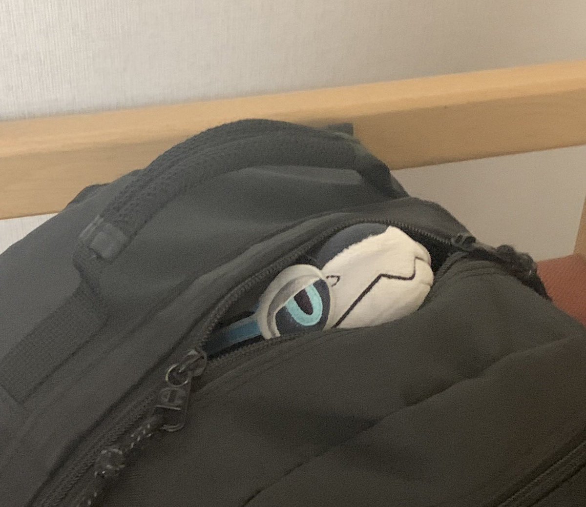 ほた (@yakareta_hotate) on Twitter photo 