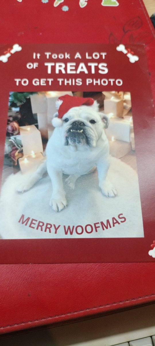 And so... today I wish you a Merry Christmas dear @karascraftshack 😂😂😂 thank you so much for your lovely card ❤️
<a href="/PariniDaniele/">Dakota the Bulldog</a> can understand this 🤦🏻