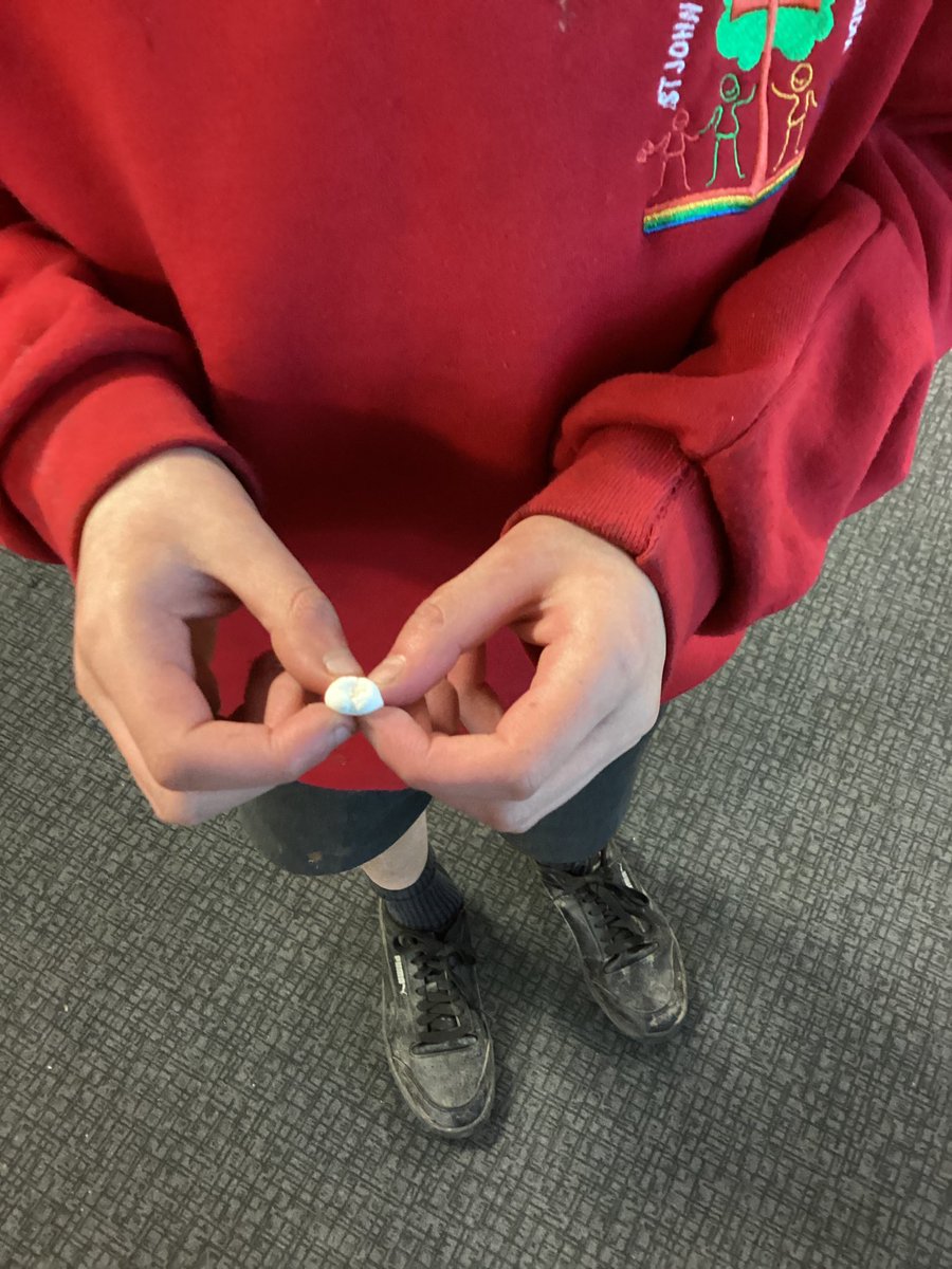 Year 4 Badgers have made a model of their mouths using marshmallows for teeth! Now to label them with Scientific names…