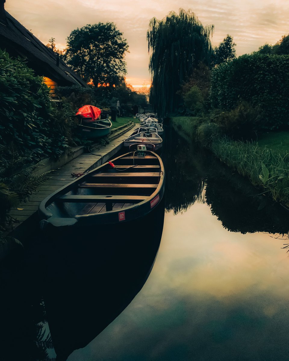 Photos I shot on phone