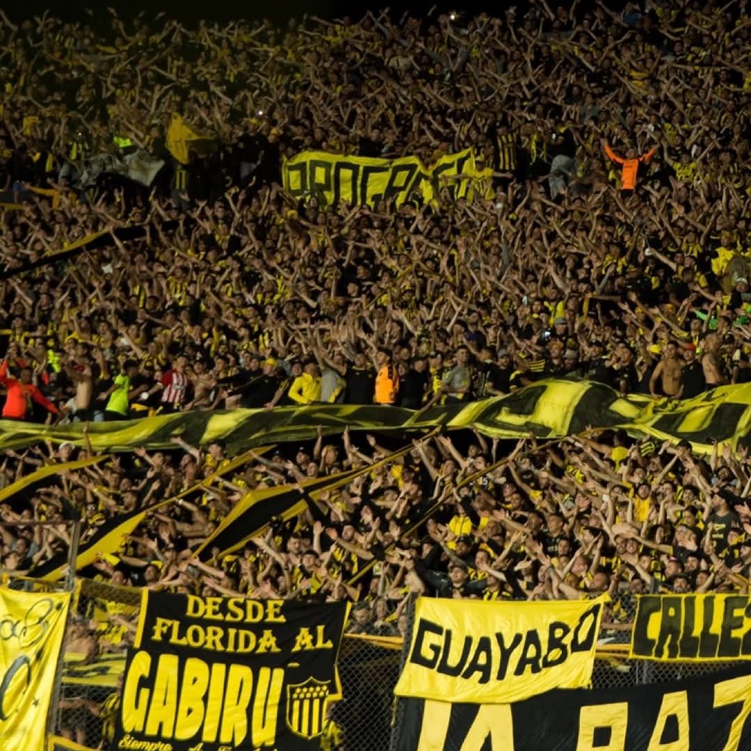 Serie Río de la Plata tweet media