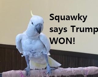 ⚔️𝔏𝔞𝔤𝔢𝔯𝔱𝔥𝔞 ⚔️ tweet media