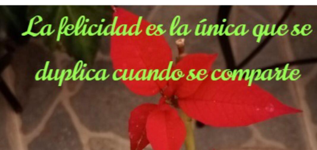 Que tengan excelente semana