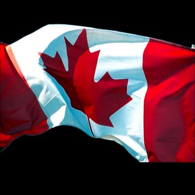 shawnzip1's tweet photo. #NewProfilePic https://t.co/mA5oRHL2Mk