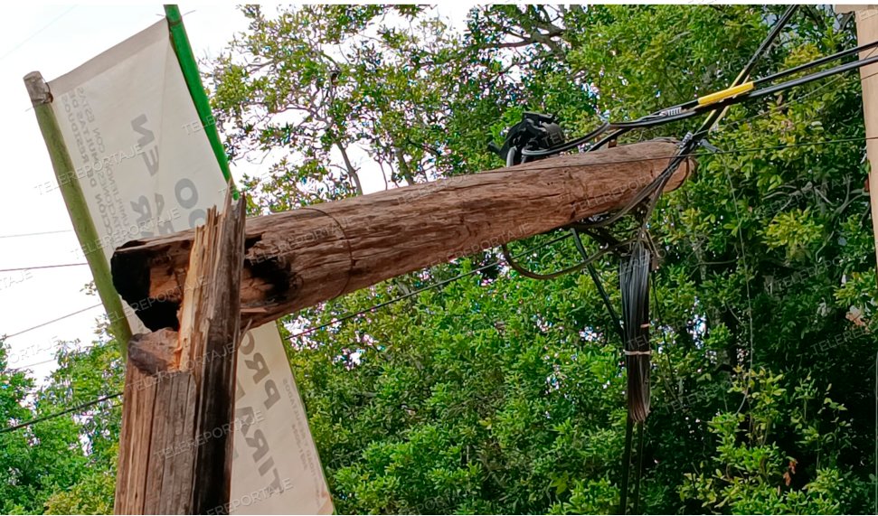 xevtfm's tweet photo. 📸 #EnFotos |  Las lluvias de anoche derribaron una rama grande de un árbol la cual cayó sobre cables de una compañía telefónica, provocando que el poste se rompiera, esto a escasos metros del parque del Fraccionamiento #Multi80

@ProcivilTabasco https://t.co/h21O0NPrvE