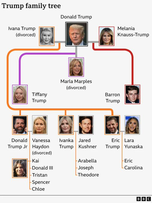win_elon's tweet photo. #Trump - #Memecoin Family 🤣
$TRUMP #Melania $BARRON $IVANA https://t.co/E4fu7GsTbj
