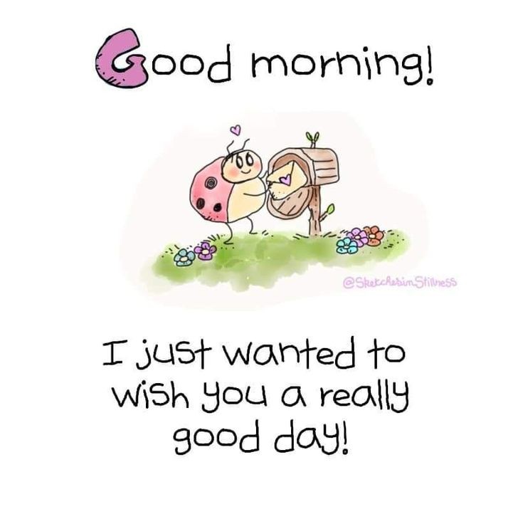 "Sunset knows the untold stories" ✨🍁
.
Happy Morning 🌅