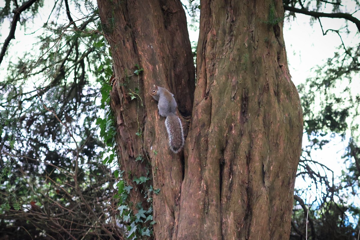 Bath Spa University tweet media