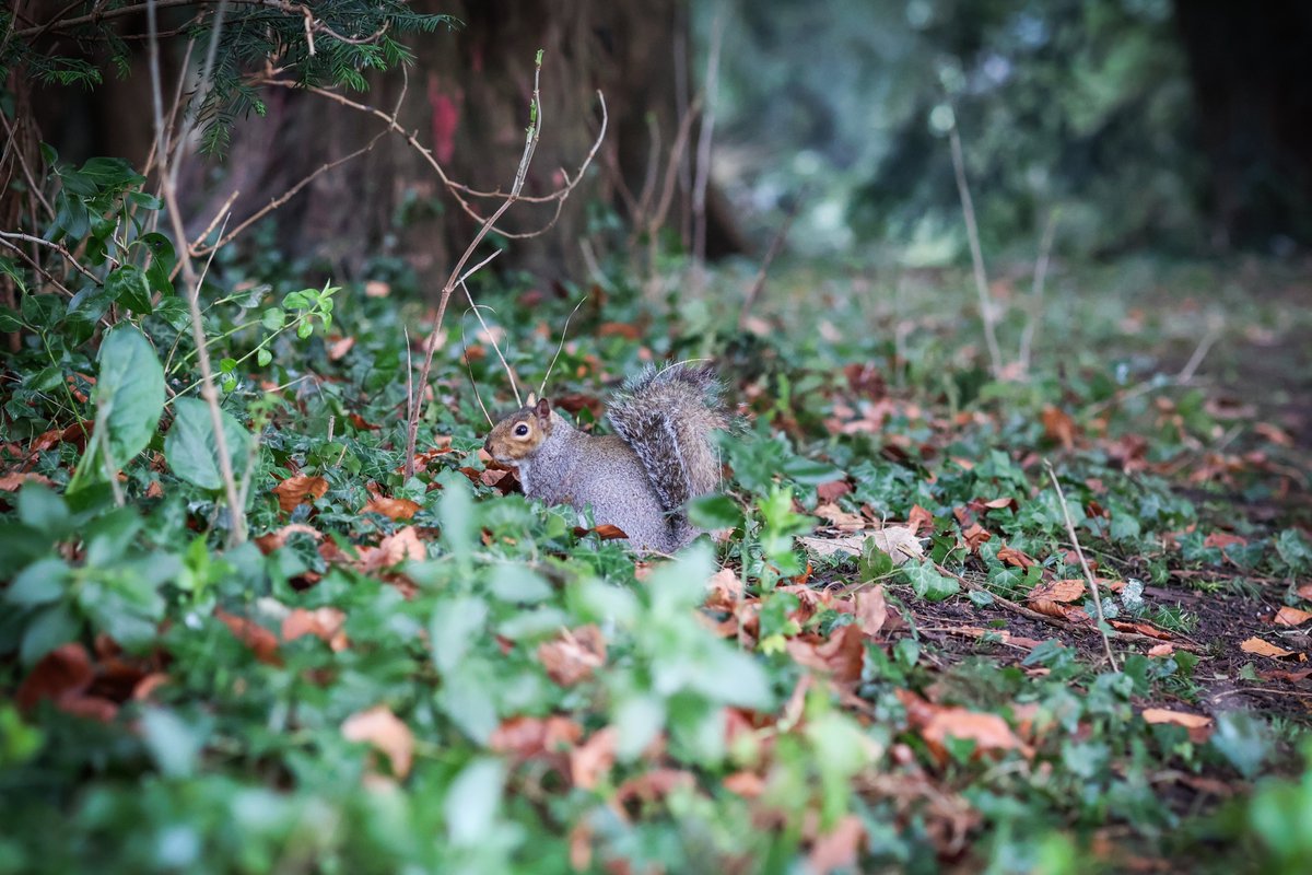 Bath Spa University tweet media