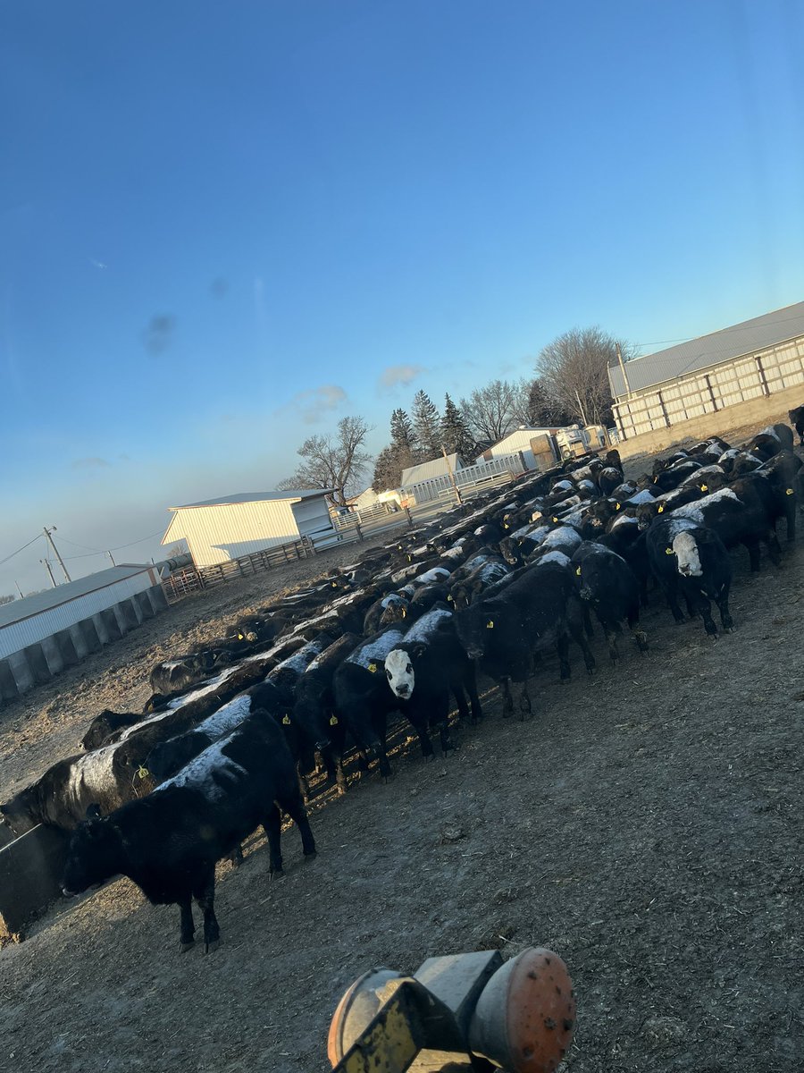 DylanRus's tweet image. wouldn’t be so bad if it wasn’t for the wind