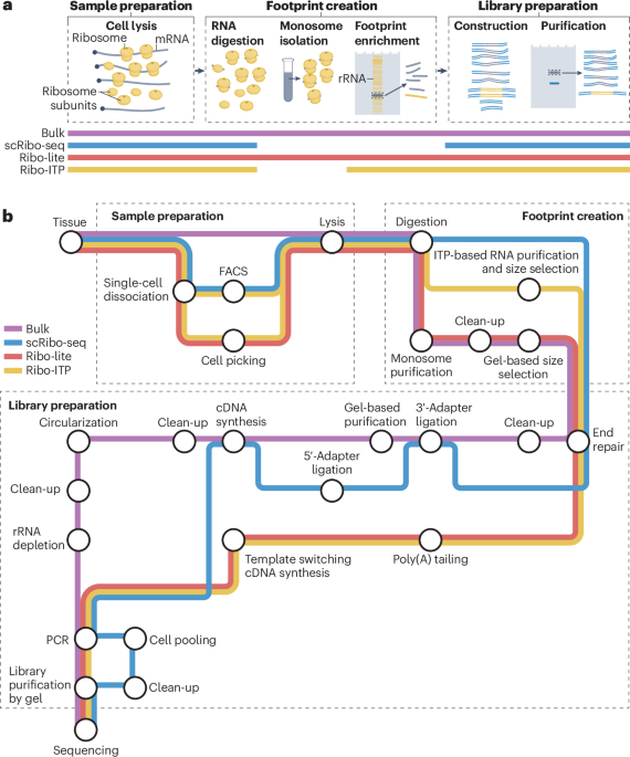 Nature Reviews Molecular Cell Biology tweet media