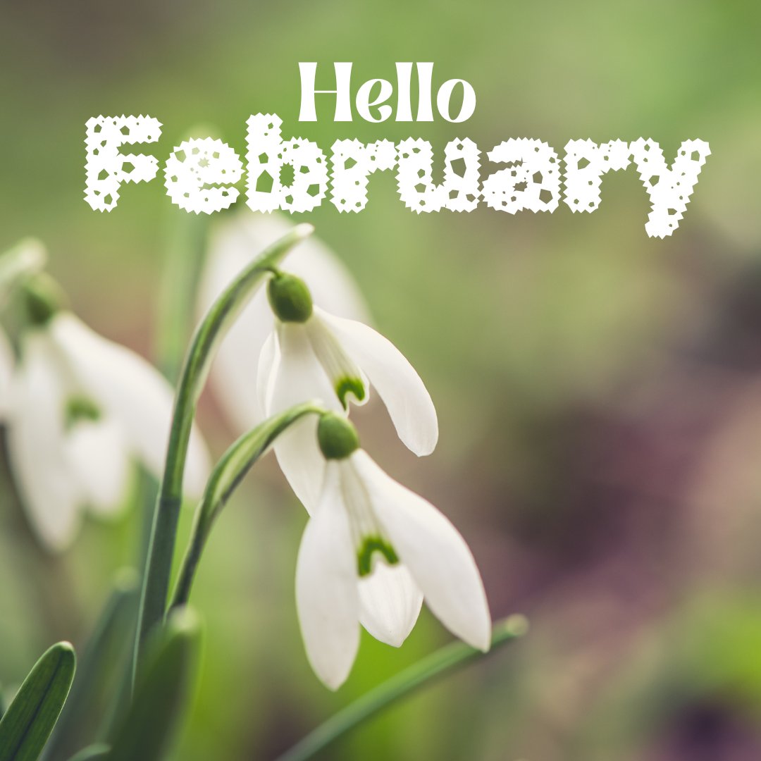 👋 Goodbye January... and Hello February! ❄️🌱🌥️
#GoodbyeJanuary #hellofebruary #februaryvibes #dfebruarymood #newmonthvibes #newmonthnewgoals