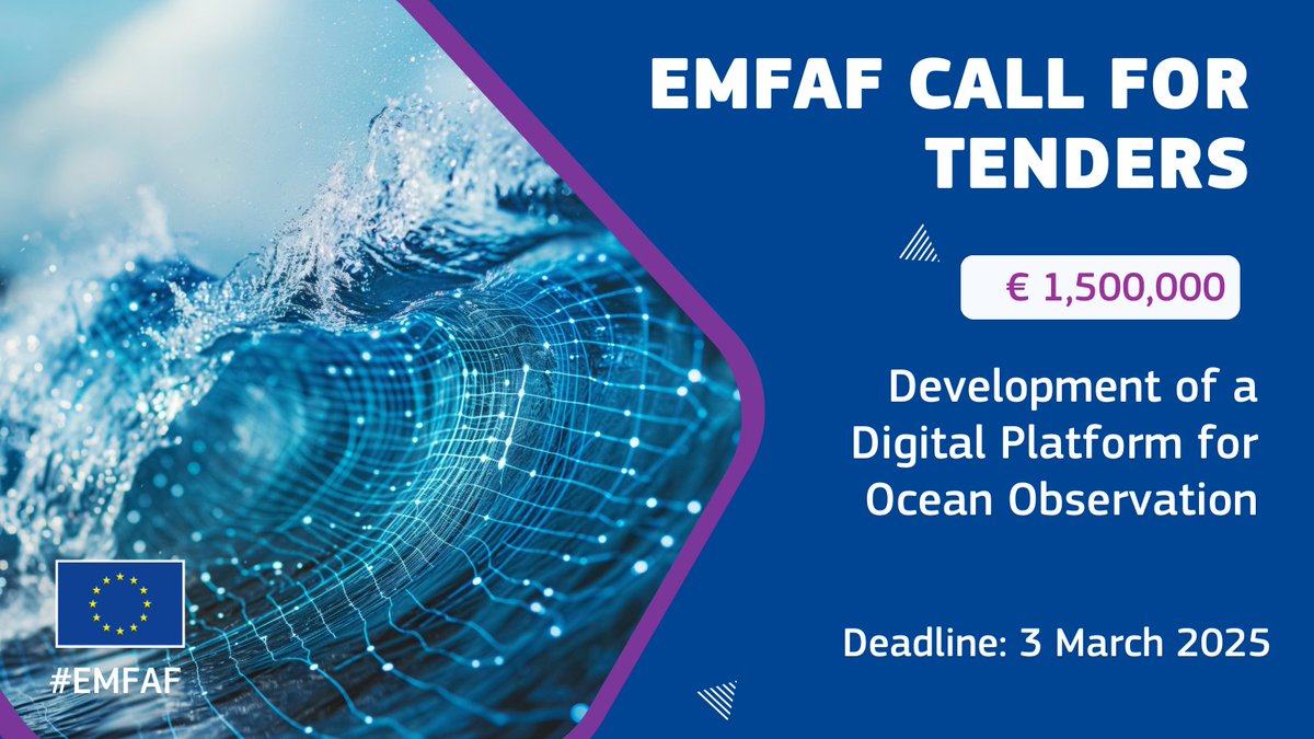 New funding opportunity alert!

We have just launched an #EMFAF call for tenders to build and operate an ocean observation digital platform.

💶 Budget € 1.5 million
⏰ Deadline: 3 March

Find out how to apply ⬇
europa.eu/!WR9WKw