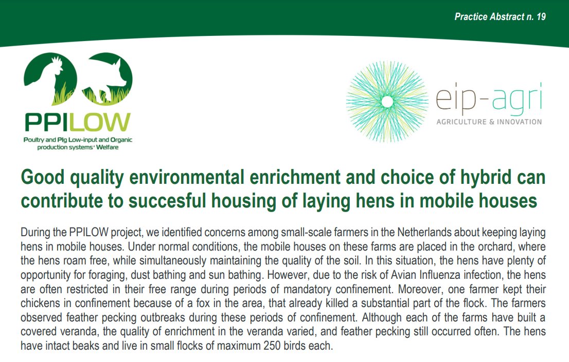 PPILOW project presents the 19th Practice Abstract (PA19): “Good quality environmental enrichment and choice of hybrid can
contribute to succesful housing of laying hens in mobile houses”🌿🐔

Read it here👉 ppilow.eu/wp-content/upl…