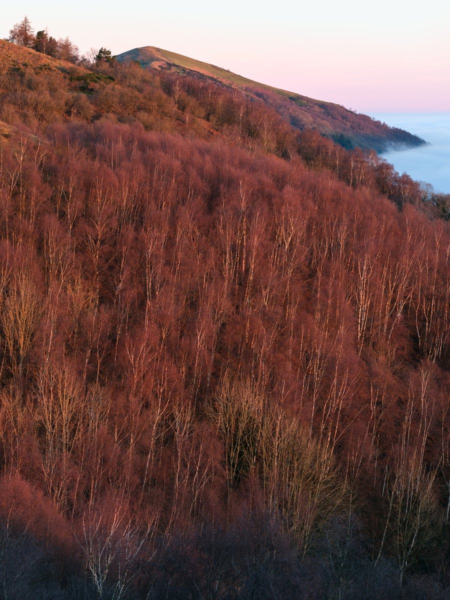 MarkBWorcester's tweet photo. The mid slopes of the #Malvernhills have been an area that I have spent a good while wondering in recent times. There are some nice angles onto the peaks and I am looking forward to heading back out during the Spring when the sun should be in a more favourable position. https://t.co/EImm7CYytl