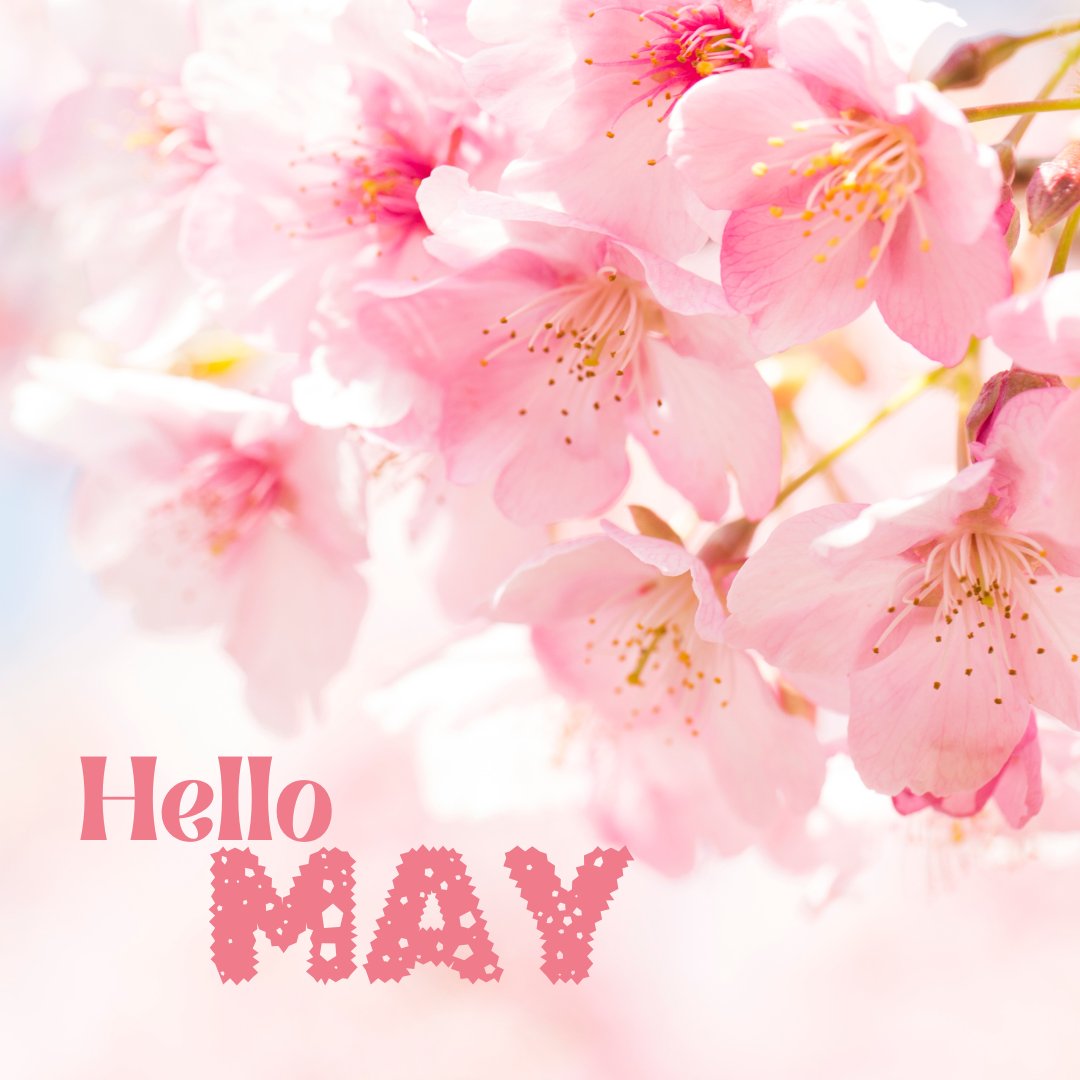 👋 Goodbye April... and Hello May! 💖🌸☀️
#GoodbyeApril #hellomay #mayvibes #maymood #newmonthvibes #newmonthnewgoals