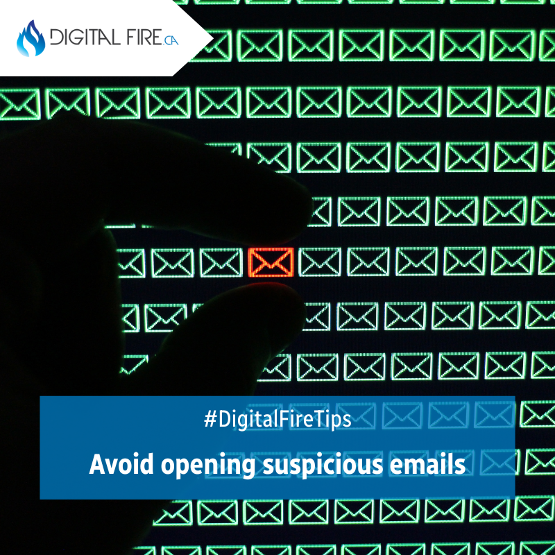 Digital Fire tweet media