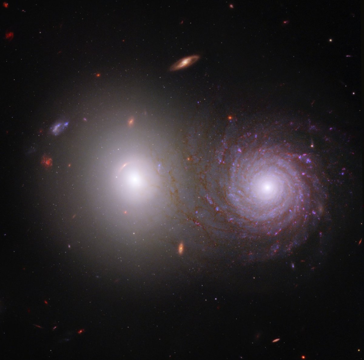 SpaceTelescope's tweet photo. This image of VV 191 is a composite of near-infrared light from #NASAWebb, and ultraviolet and visible light from Hubble. It is one of nearly 2,000 pairs identified by citizen science volunteers to help researchers study galactic dust: https://t.co/GJtDgbv9BS https://t.co/hZyIyTbN8y