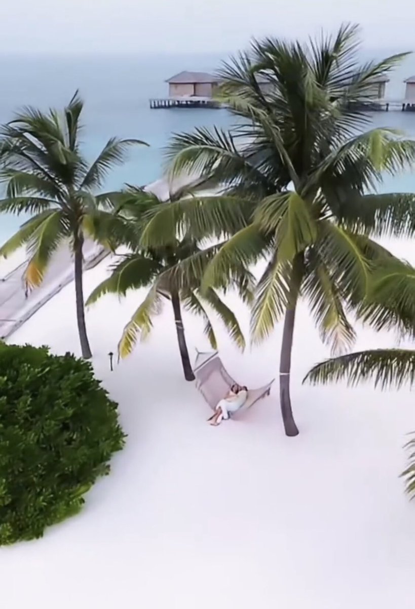 diisneyy0's tweet photo. Koalat 🐨🦥🦥#ejllat https://t.co/Ue6XS2G5y6