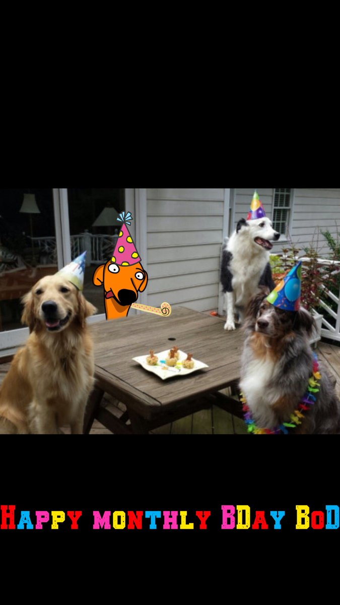 tartopom80's tweet photo. Happy Monthly BDay @batesondog !
#HBOD https://t.co/yGHwaZfHdj