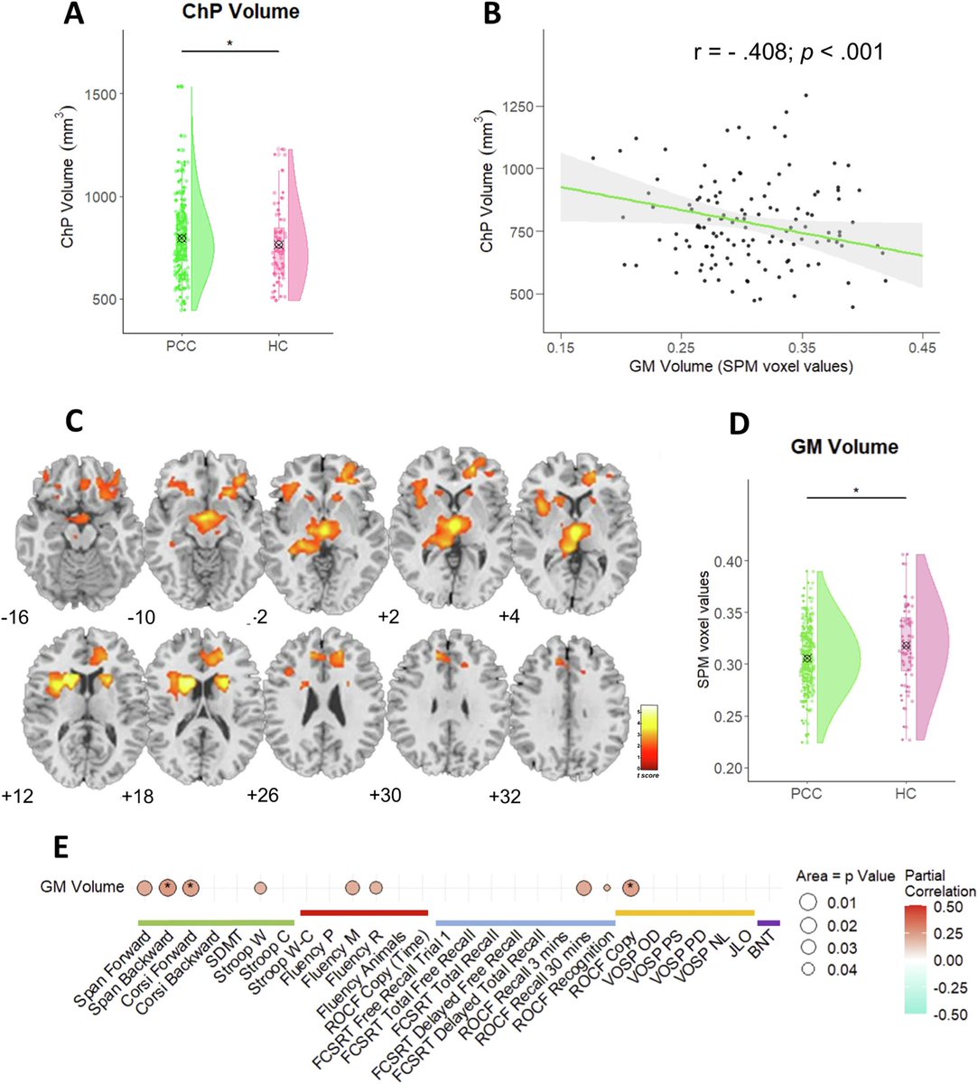 Caffeinated Toddler tweet media