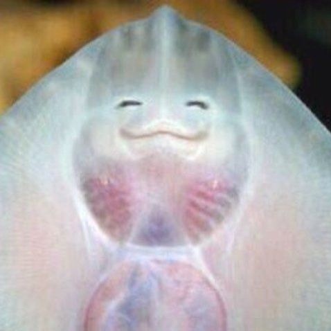 kyloops's tweet image. she’s so cutie