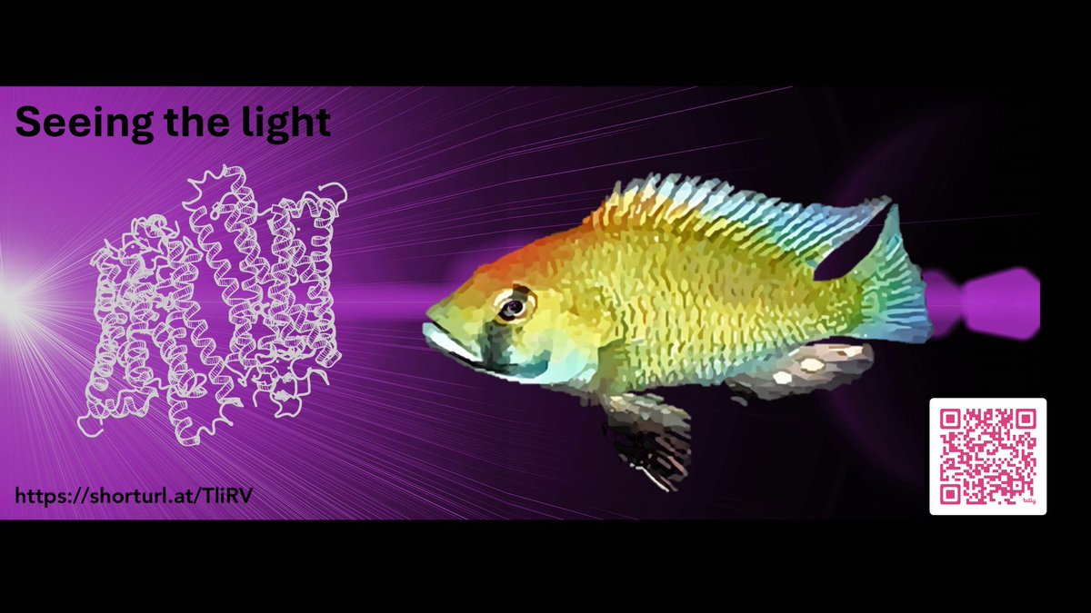 Fully funded PhD opportunity - Join a multidisciplinary team to investigate ultraviolet vision in fish. You will learn about protein dynamics in vision and gain experience in cutting-edge techniques in structural biology. More information here: lnkd.in/eMykhMde