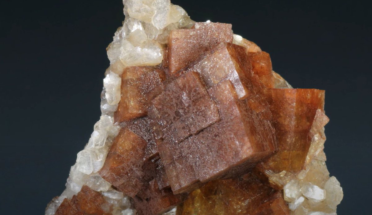 Atlantic Geoscience Society tweet media