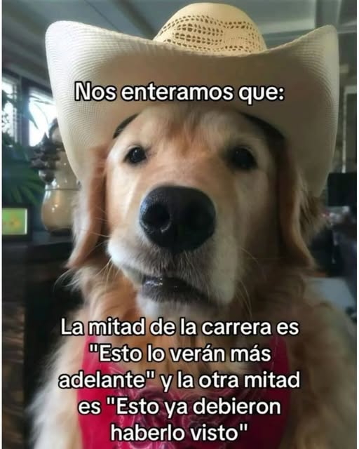 EnsedeCiencia's tweet photo. https://t.co/s86ZnkabrI