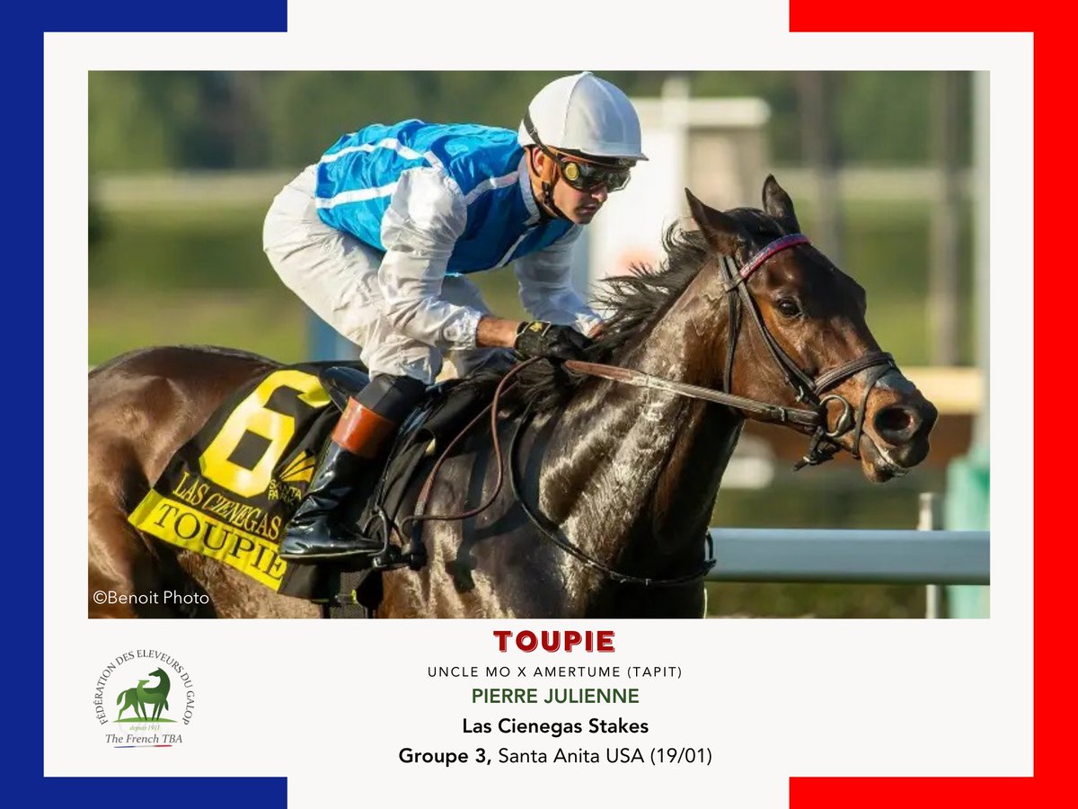 Fedeeleveurs's tweet image. 👑 TOUPIE (#UncleMo) s'empare des Las Cienegas Stakes, Groupe 3 à Santa Anita Park aux USA (19/01).
Bravo à son éleveur Wertheimer &amp;amp; Frère 💯
#eleveursdechevauxdecourses #vivelelevagefrancais #RaceAndCare