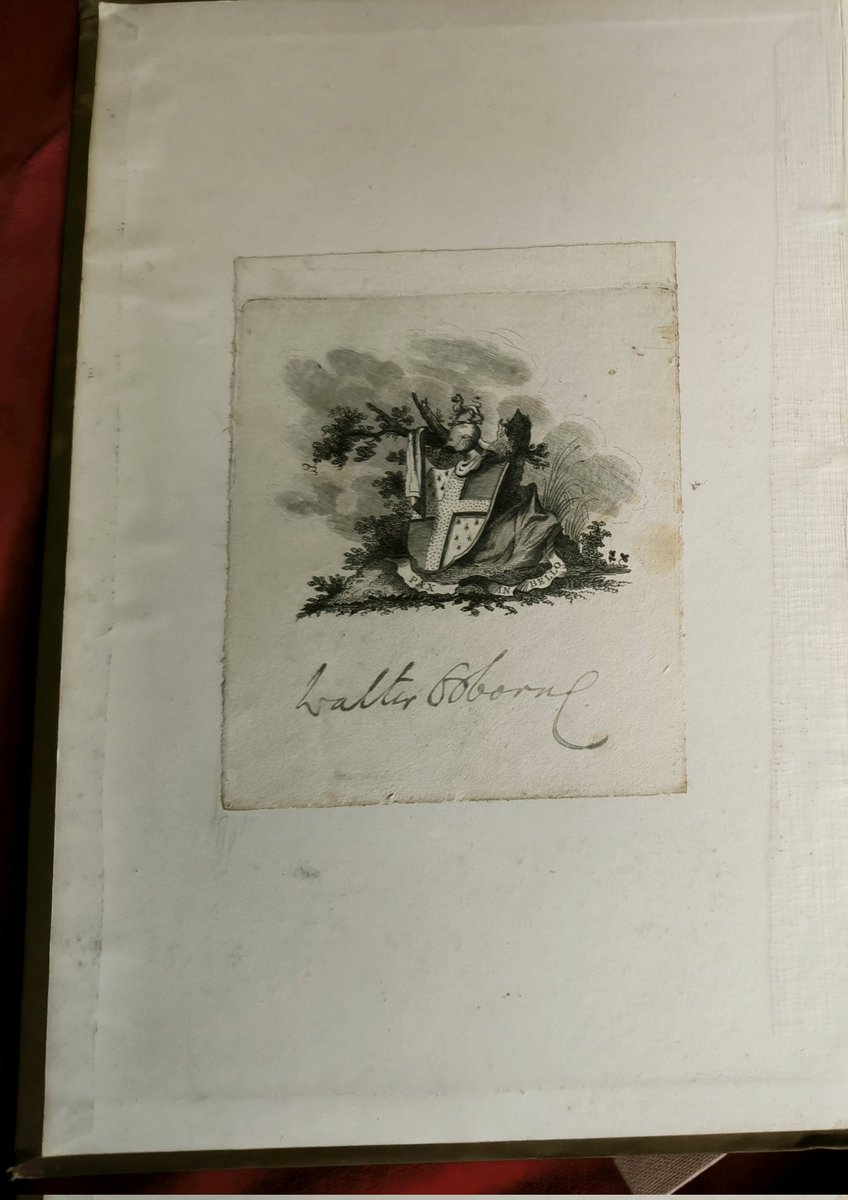 Gearóid Arthur Hayes tweet media