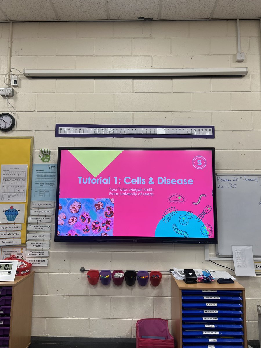 Meganemsmith's tweet photo. Really enjoyed delivering my second session to KS3 for @BrilliantClub 

Today we learned about types of cells, pathogens and disease- and of course wrote this on some sticky notes 📝

Looking forward to the next few months working with some great scientists in the making! 👩🏻‍🔬🧬 https://t.co/iagNDHSZwA