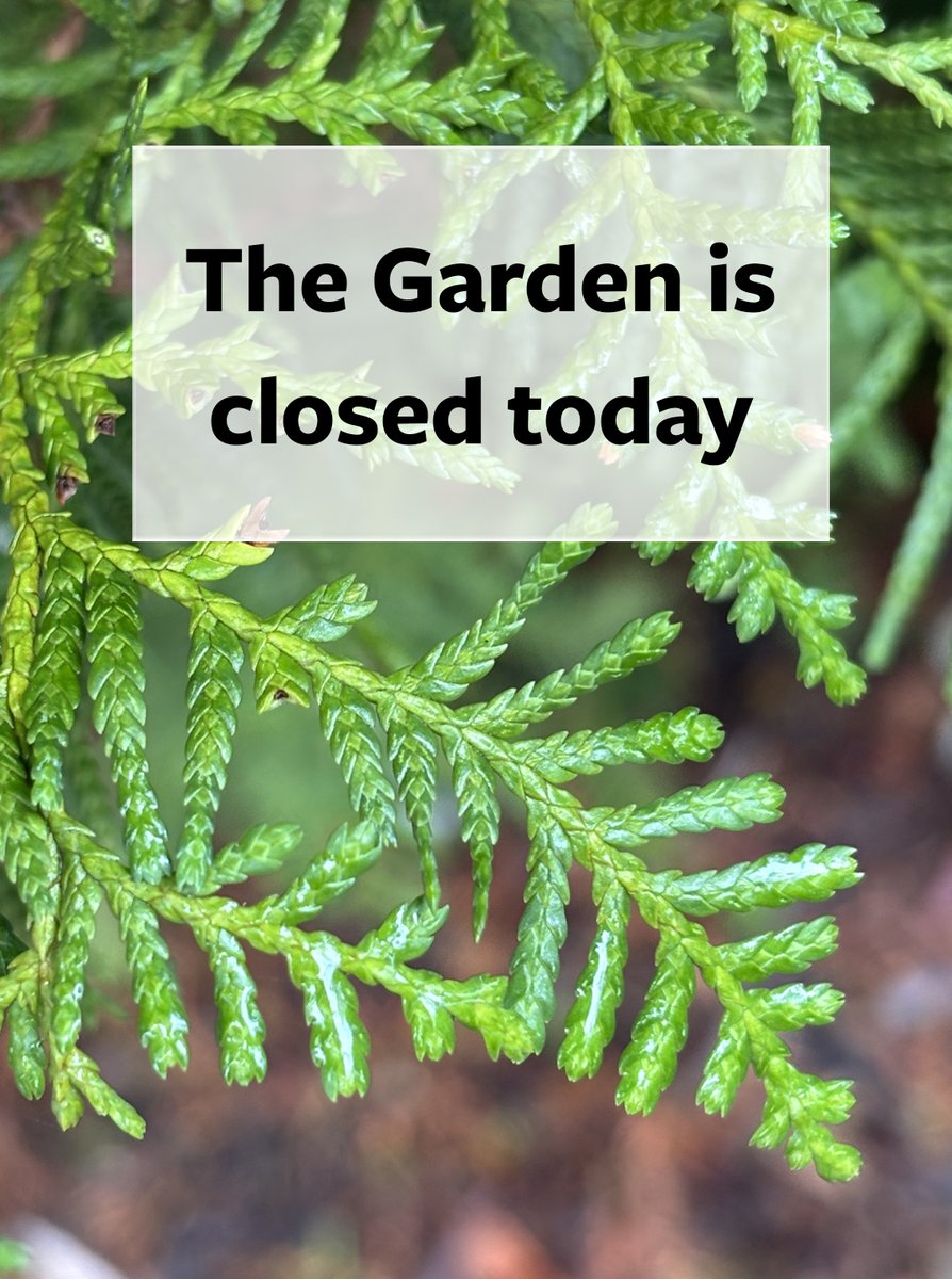 The Garden will be closed today in observance of #MartinLutherKingDay. We look forward to seeing you at the Garden on Wednesday, for the opening of the Plants Illustrated Exhibition! Gallery hours are 10:00 am–4:00 pm. 
ow.ly/cQM050UJ8Y6