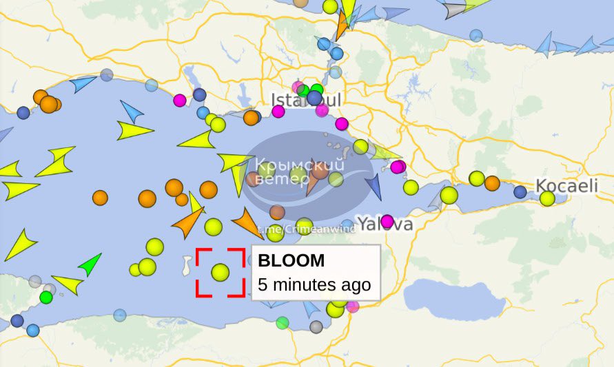 MAKS 25 🇺🇦👀 tweet media