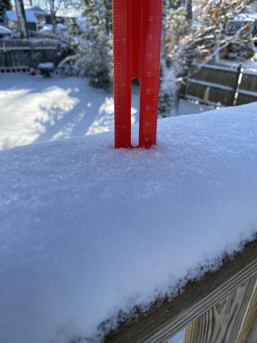 Anthony Macari tweet media