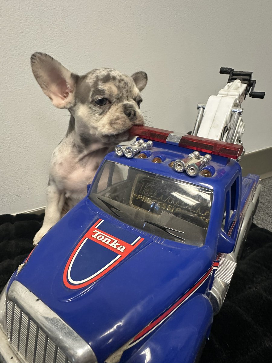 ITR_TOWING's tweet photo. Willow is getting truck ready for the potential winter storm coming to #NorthCarolina this week! Stay safe! 

☎️ 910.791.7636
2️⃣4️⃣ HRS ⏰
#intercoastaltowingandrecovery #ilm #wilmingtonnc #ncwinterweather #WinterStorm #lelandnc https://t.co/cB60GpRS9W
