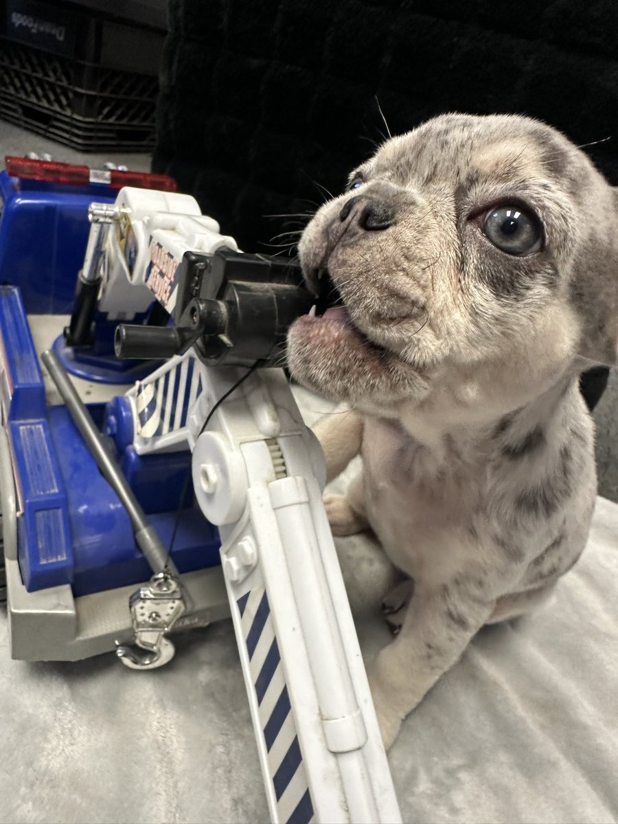 ITR_TOWING's tweet photo. Willow is getting truck ready for the potential winter storm coming to #NorthCarolina this week! Stay safe! 

☎️ 910.791.7636
2️⃣4️⃣ HRS ⏰
#intercoastaltowingandrecovery #ilm #wilmingtonnc #ncwinterweather #WinterStorm #lelandnc https://t.co/cB60GpRS9W