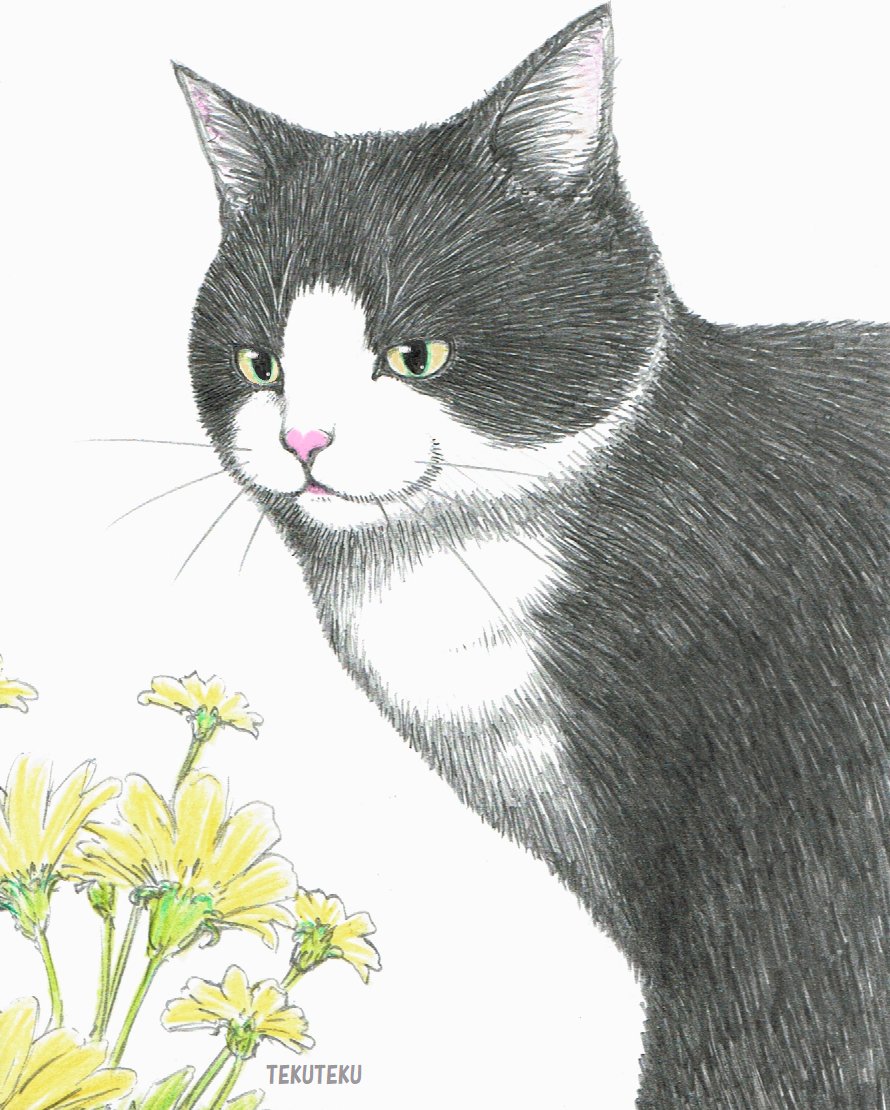 「好きな絵は 永遠あげて  ええんやで#川柳 #過去絵 #オリジナルイラスト  」|TEKUTEKUのイラスト
