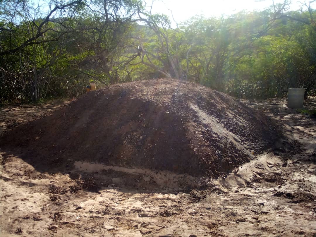 El Parque Nacional Cerro Saroche, en Lara, es desde 1989, un área bajo régimen de administración especial (ABRAE). Su estatus de área protegida no lo ha salvado de la devastación impune de una empresa mixta

🔗bit.ly/4aqR4MP