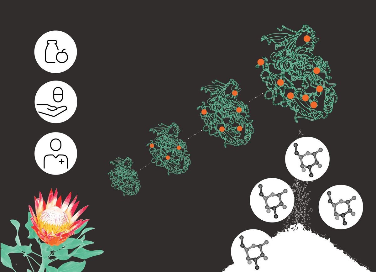 Ligia O. Martins (@lom_martin) on Twitter photo Read our latest <a href="/green_rsc/">Green Chemistry</a> paper where a new enzymatic process to synthesize rare health-packed C3 epimeric sugars is described! 🤩
Thanks to <a href="/AndrTaborda3/">André Taborda</a> , #Marcia Renio & #Rita Ventura 🫶🫶🫶
pubs.rsc.org/en/content/art… Read our latest <a href="/green_rsc/">Green Chemistry</a> paper where a new enzymatic process to synthesize rare health-packed C3 epimeric sugars is described! 🤩
Thanks to <a href="/AndrTaborda3/">André Taborda</a> , #Marcia Renio & #Rita Ventura 🫶🫶🫶
pubs.rsc.org/en/content/art…